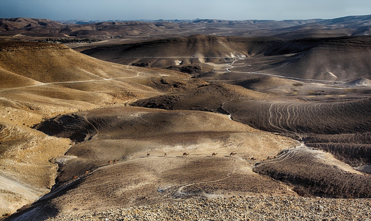 dead sea, caravan, camel, red, brown, canyon, cliff, desert, valley, stone, sandstone, sand, rock, remote, area, israel, landscape, mountain, nature, camel, israel, israel, israel, israel, israel